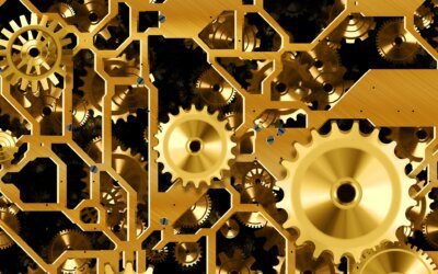 Értelmünk és érzelmeink nem ugyanazok