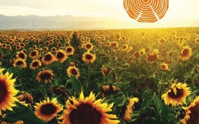 Hurrá nyaralunk! Melyik családoddal?