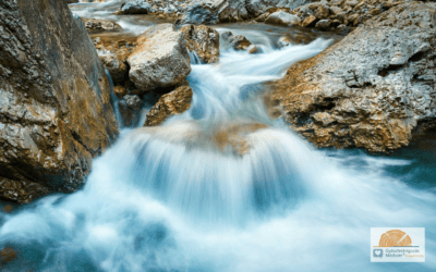 Tavasz, nyár, ősz, tél, tavasz – A GYÁSZÉV MÍTOSZA